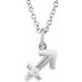 Accented Zodiac Necklace
