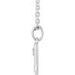Accented Zodiac Necklace