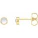 Round Bezel-Set Rose-Cut Stud Earrings