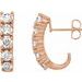 Accented J-Hoop Earrings