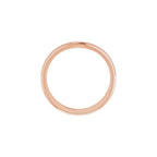 Accented Engagement Ring or Band