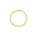 Accented Engagement Ring or Band