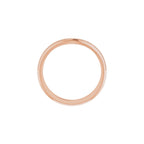 Accented Engagement Ring or Band
