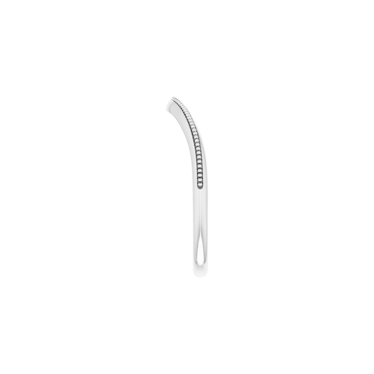 Accented Engagement Ring or Band