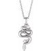 Accented Serpent Necklace or Pendant