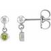 Micro-Bezel Dangle Earrings