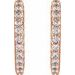 Accented Huggie Earrings
