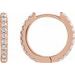 Accented Huggie Earrings