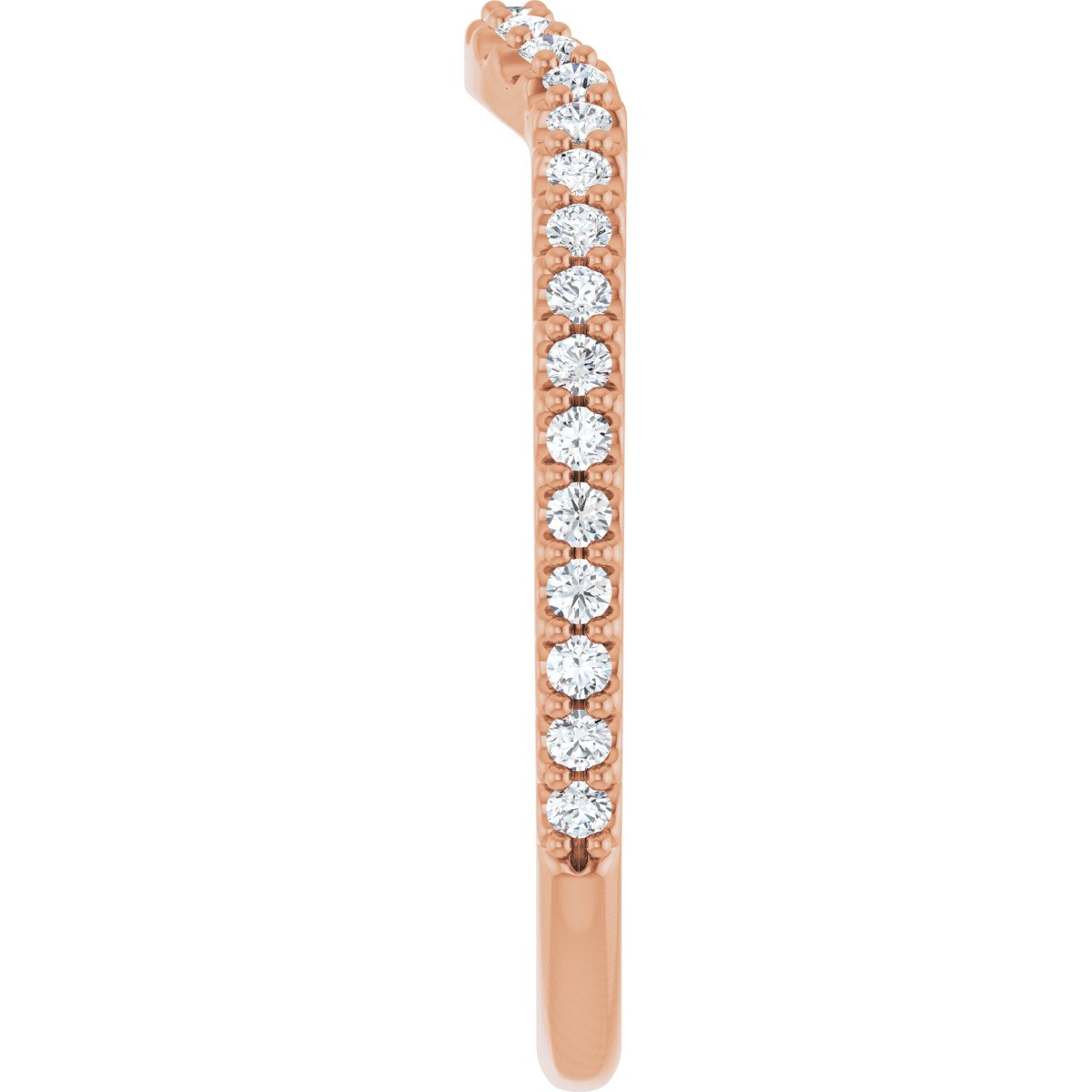 Accented Contour Band