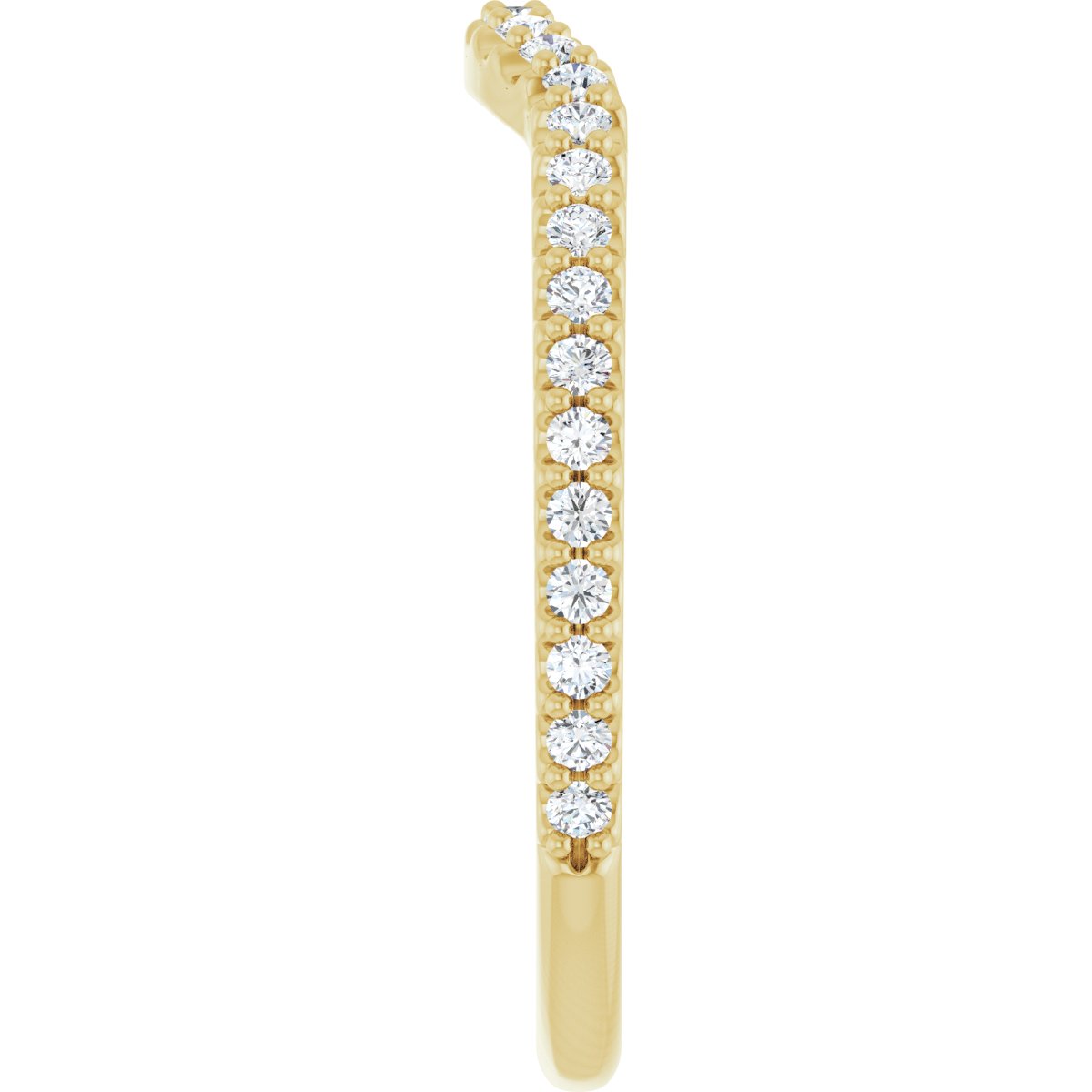 Accented Contour Band