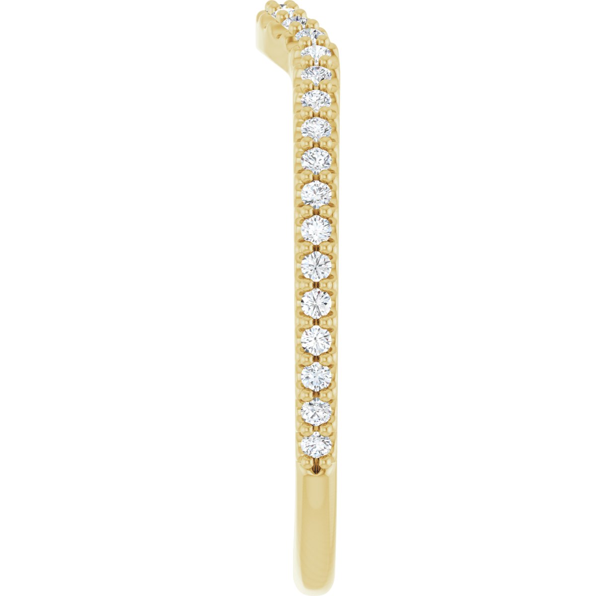 Accented Contour Band