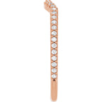 Accented Contour Band