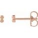 Tiny Bead Earrings