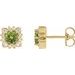 Round Halo-Style Earrings