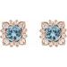 Round Halo-Style Earrings