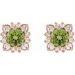 Round Halo-Style Earrings
