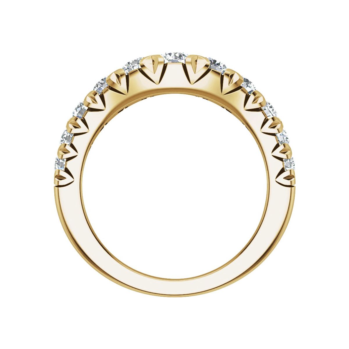 Contour Band