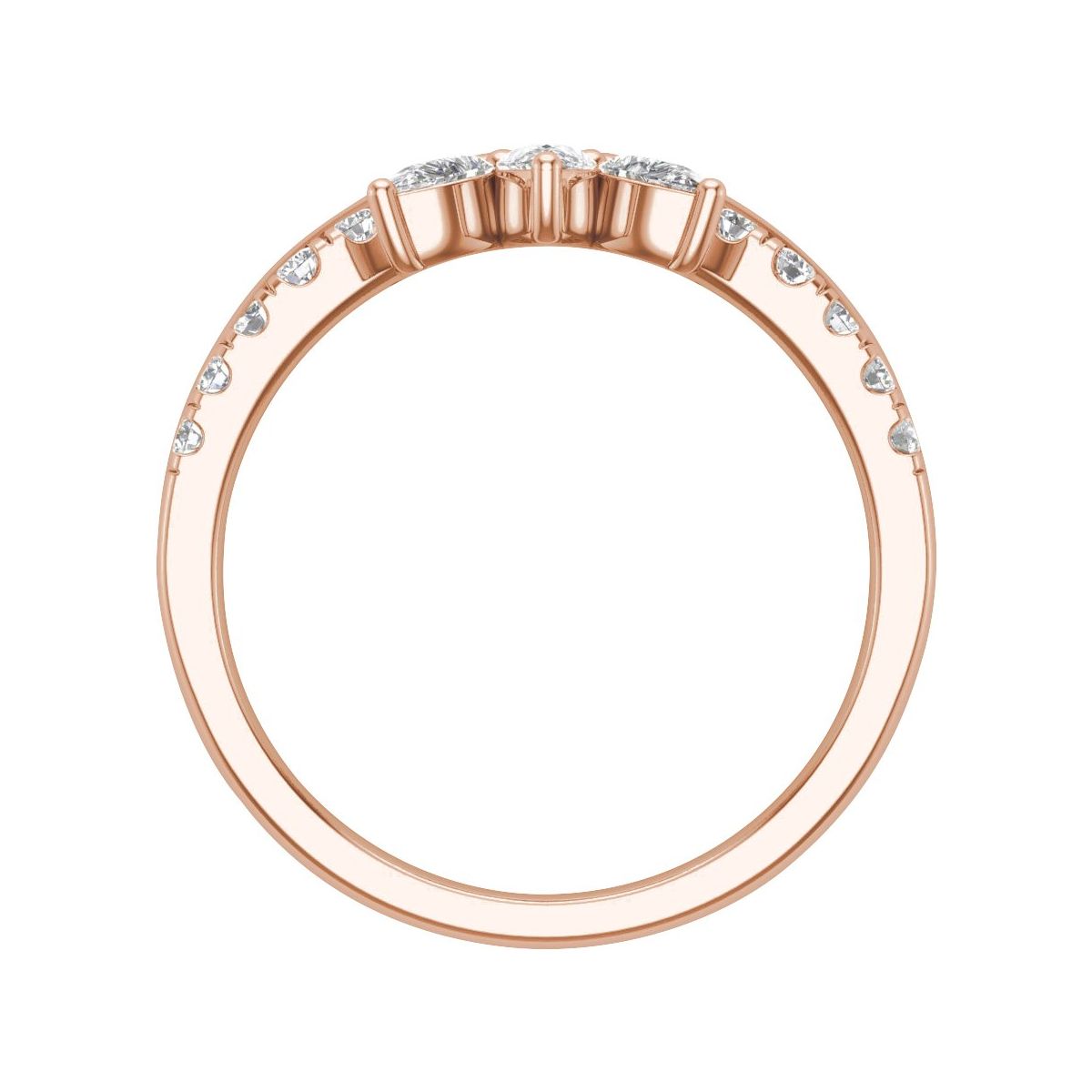 Contour Band
