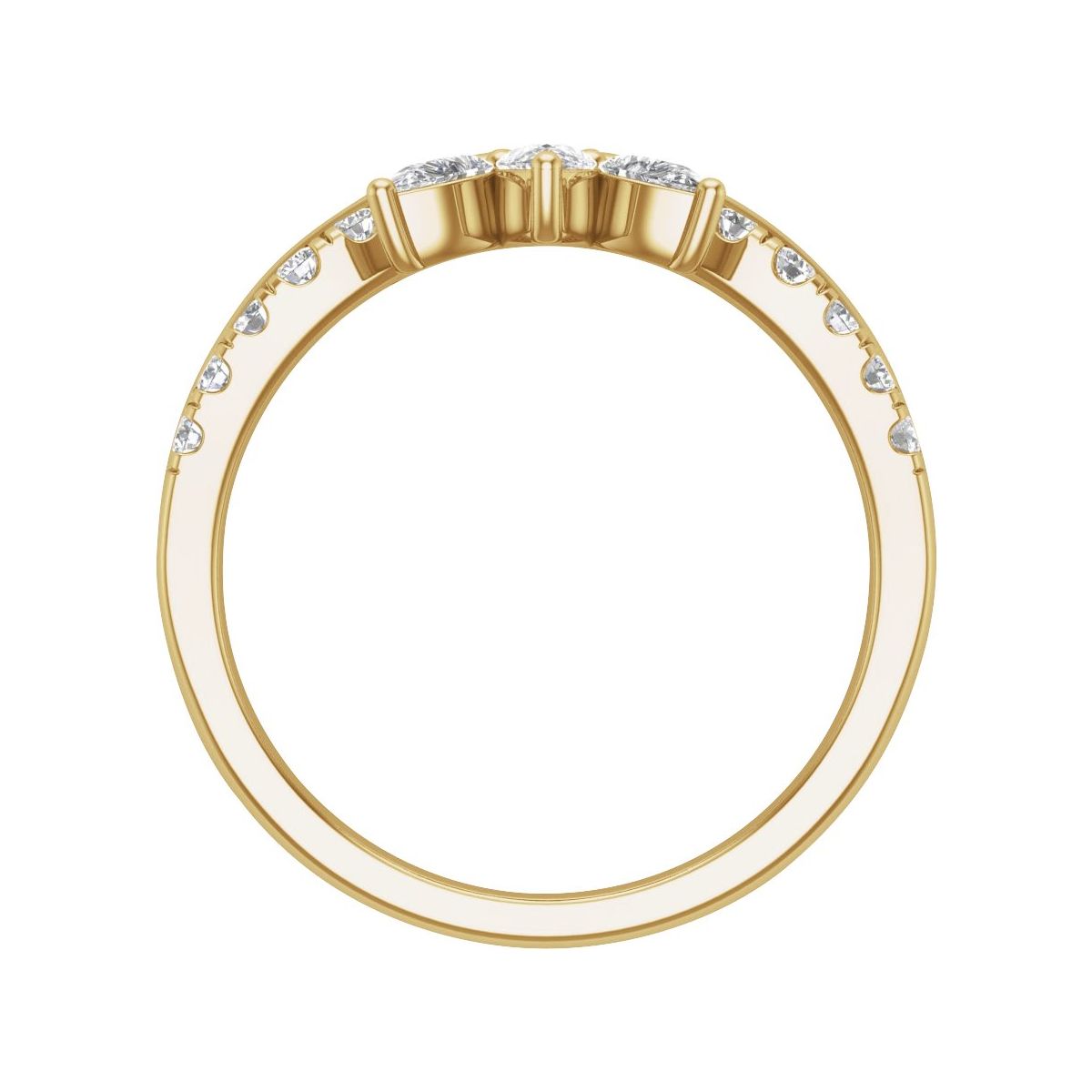 Contour Band