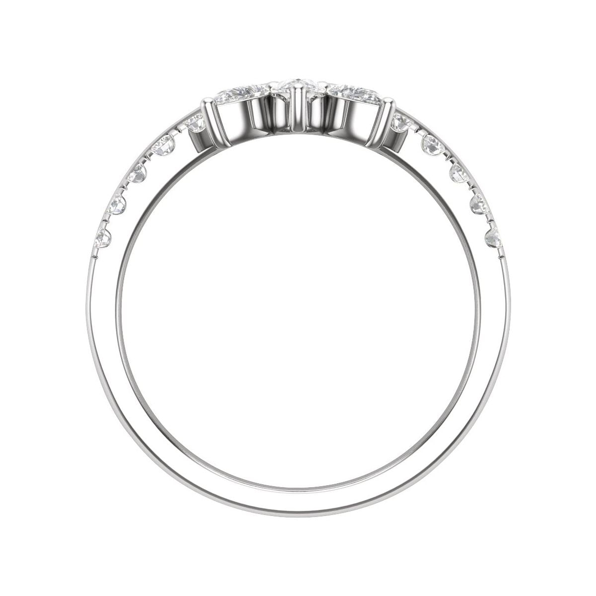Contour Band