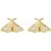 Scarab or Moth Stud Earrings