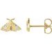 Scarab or Moth Stud Earrings