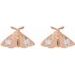 Scarab or Moth Stud Earrings