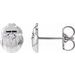 Scarab or Moth Stud Earrings