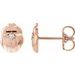 Scarab or Moth Stud Earrings