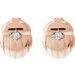 Scarab or Moth Stud Earrings
