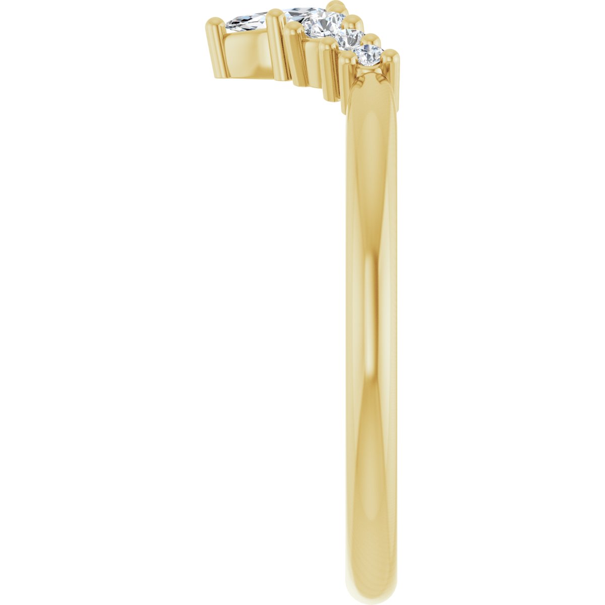 Accented Contour Band