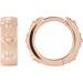 Hinged Hoop Earrings