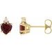 Accented Heart Earrings