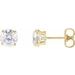 Round 4-Prong Lightweight Stud Earrings