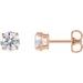 Round 4-Prong Lightweight Stud Earrings