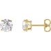 Round 4-Prong Lightweight Stud Earrings
