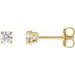 Round 4-Prong Lightweight Stud Earrings