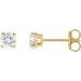 Round 4-Prong Lightweight Stud Earrings