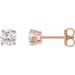 Round 4-Prong Lightweight Stud Earrings