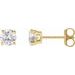 Round 4-Prong Lightweight Stud Earrings