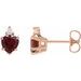 Accented Heart Earrings