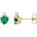 Accented Heart Earrings