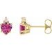 Accented Heart Earrings