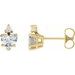 Accented Heart Earrings