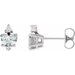 Accented Heart Earrings