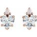 Accented Heart Earrings