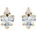 Accented Heart Earrings