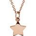 Tiny Posh® Star Necklace