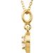 Halo-Style Necklace or Pendant