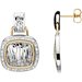 Accented Zebra Skin Earrings